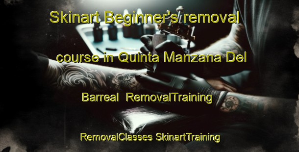 Skinart Beginner's removal course in Quinta Manzana Del Barreal | #RemovalTraining #RemovalClasses #SkinartTraining-Mexico