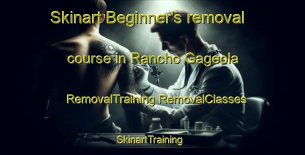 Skinart Beginner's removal course in Rancho Gageola | #RemovalTraining #RemovalClasses #SkinartTraining-Mexico