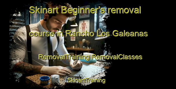 Skinart Beginner's removal course in Rancho Los Galeanas | #RemovalTraining #RemovalClasses #SkinartTraining-Mexico