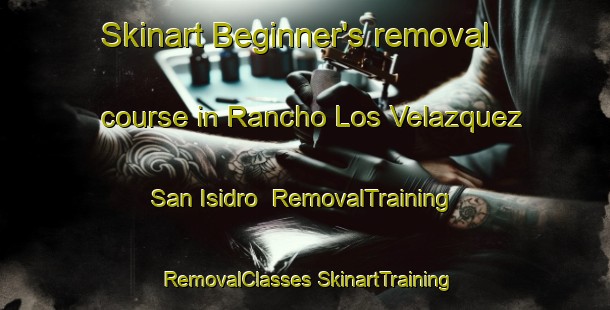 Skinart Beginner's removal course in Rancho Los Velazquez  San Isidro | #RemovalTraining #RemovalClasses #SkinartTraining-Mexico