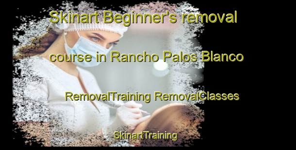 Skinart Beginner's removal course in Rancho Palos Blanco | #RemovalTraining #RemovalClasses #SkinartTraining-Mexico