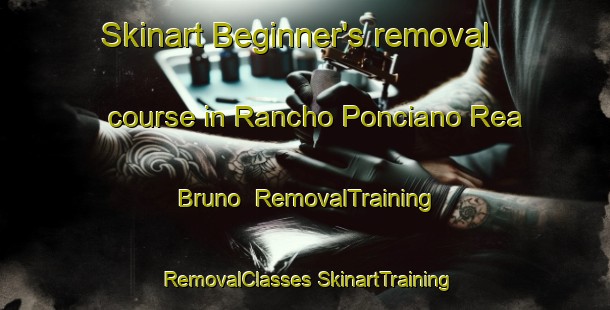 Skinart Beginner's removal course in Rancho Ponciano Rea Bruno | #RemovalTraining #RemovalClasses #SkinartTraining-Mexico