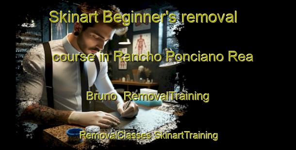 Skinart Beginner's removal course in Rancho Ponciano Rea Bruno | #RemovalTraining #RemovalClasses #SkinartTraining-Mexico