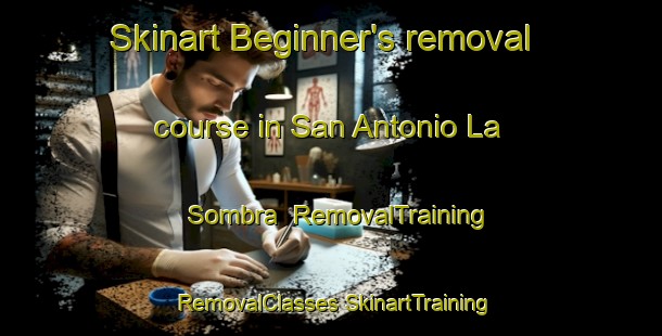 Skinart Beginner's removal course in San Antonio La Sombra | #RemovalTraining #RemovalClasses #SkinartTraining-Mexico