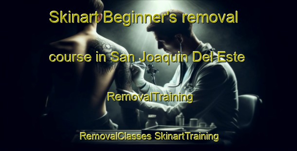 Skinart Beginner's removal course in San Joaquin Del Este | #RemovalTraining #RemovalClasses #SkinartTraining-Mexico