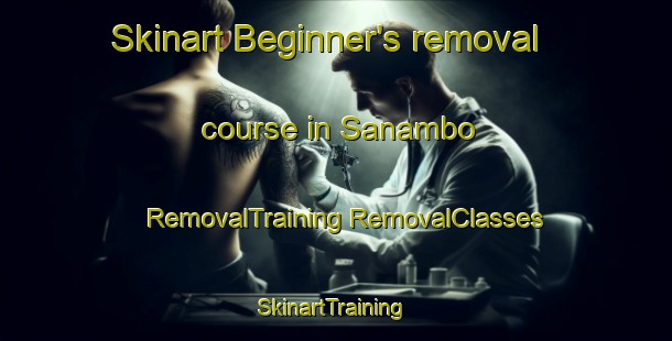 Skinart Beginner's removal course in Sanambo | #RemovalTraining #RemovalClasses #SkinartTraining-Mexico