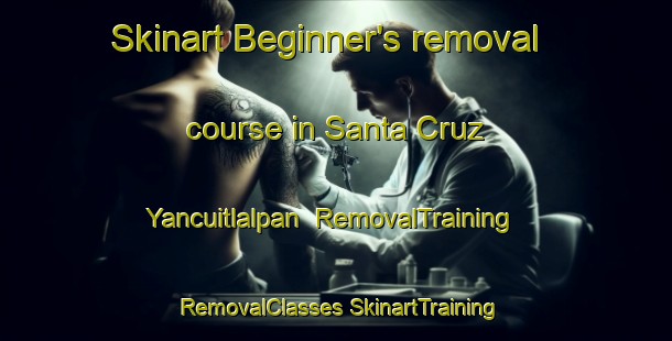 Skinart Beginner's removal course in Santa Cruz Yancuitlalpan | #RemovalTraining #RemovalClasses #SkinartTraining-Mexico