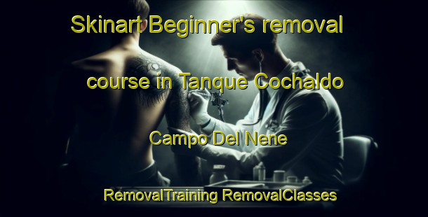 Skinart Beginner's removal course in Tanque Cochaldo  Campo Del Nene | #RemovalTraining #RemovalClasses #SkinartTraining-Mexico