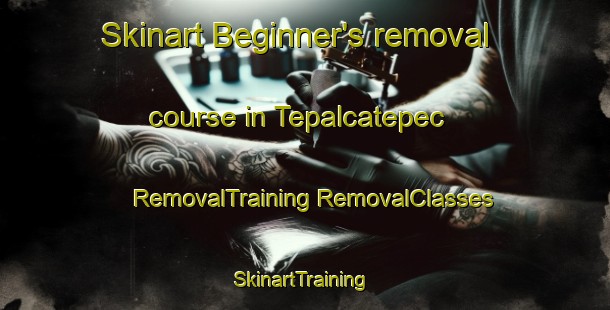 Skinart Beginner's removal course in Tepalcatepec | #RemovalTraining #RemovalClasses #SkinartTraining-Mexico