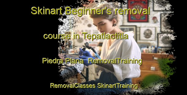 Skinart Beginner's removal course in Tepatlactitla  Piedra Plana | #RemovalTraining #RemovalClasses #SkinartTraining-Mexico