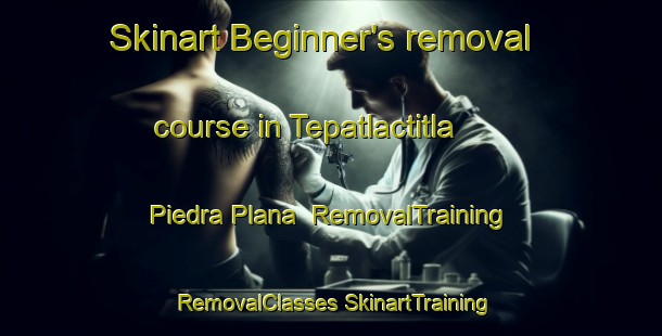 Skinart Beginner's removal course in Tepatlactitla  Piedra Plana | #RemovalTraining #RemovalClasses #SkinartTraining-Mexico