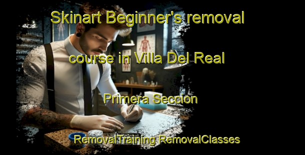 Skinart Beginner's removal course in Villa Del Real Primera Seccion | #RemovalTraining #RemovalClasses #SkinartTraining-Mexico