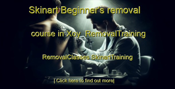 Skinart Beginner's removal course in Xoy | #RemovalTraining #RemovalClasses #SkinartTraining-Mexico