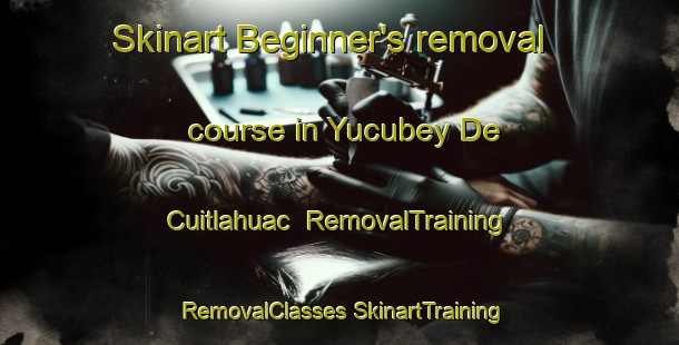 Skinart Beginner's removal course in Yucubey De Cuitlahuac | #RemovalTraining #RemovalClasses #SkinartTraining-Mexico