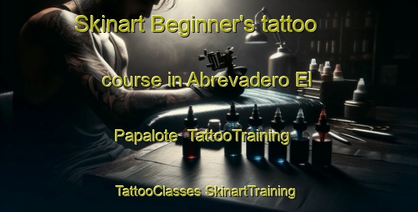 Skinart Beginner's tattoo course in Abrevadero El Papalote | #TattooTraining #TattooClasses #SkinartTraining-Mexico