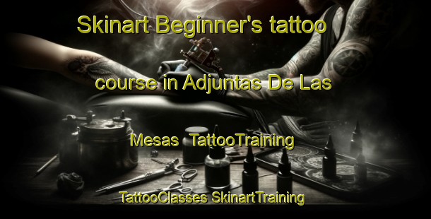 Skinart Beginner's tattoo course in Adjuntas De Las Mesas | #TattooTraining #TattooClasses #SkinartTraining-Mexico