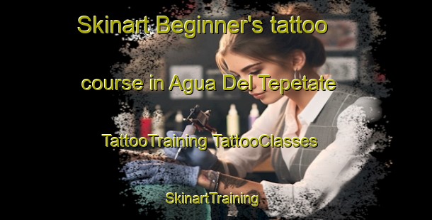 Skinart Beginner's tattoo course in Agua Del Tepetate | #TattooTraining #TattooClasses #SkinartTraining-Mexico