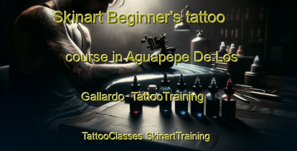 Skinart Beginner's tattoo course in Aguapepe De Los Gallardo | #TattooTraining #TattooClasses #SkinartTraining-Mexico