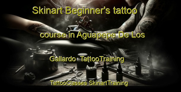 Skinart Beginner's tattoo course in Aguapepe De Los Gallardo | #TattooTraining #TattooClasses #SkinartTraining-Mexico