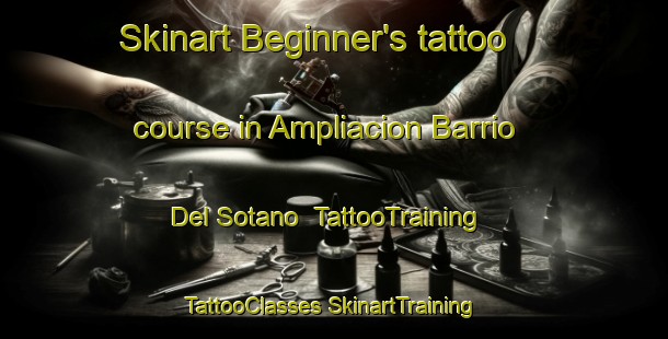 Skinart Beginner's tattoo course in Ampliacion Barrio Del Sotano | #TattooTraining #TattooClasses #SkinartTraining-Mexico