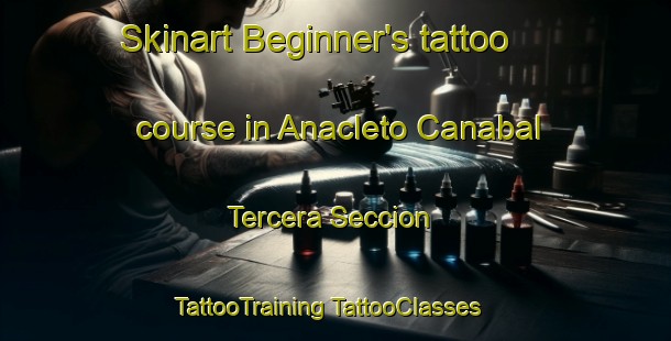 Skinart Beginner's tattoo course in Anacleto Canabal Tercera Seccion | #TattooTraining #TattooClasses #SkinartTraining-Mexico