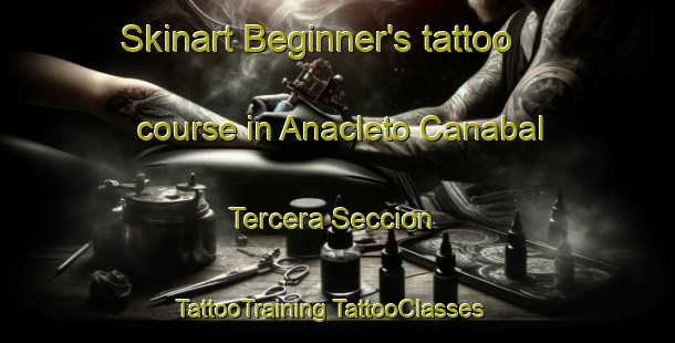 Skinart Beginner's tattoo course in Anacleto Canabal Tercera Seccion | #TattooTraining #TattooClasses #SkinartTraining-Mexico