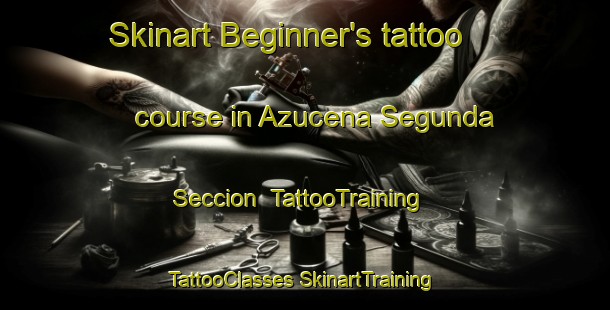 Skinart Beginner's tattoo course in Azucena Segunda Seccion | #TattooTraining #TattooClasses #SkinartTraining-Mexico