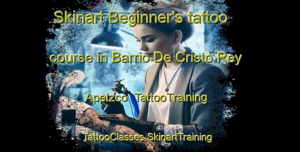 Skinart Beginner's tattoo course in Barrio De Cristo Rey  Apetzco | #TattooTraining #TattooClasses #SkinartTraining-Mexico