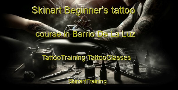 Skinart Beginner's tattoo course in Barrio De La Luz | #TattooTraining #TattooClasses #SkinartTraining-Mexico