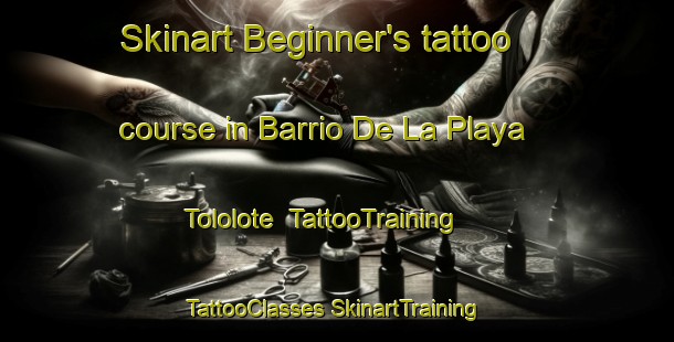 Skinart Beginner's tattoo course in Barrio De La Playa  Tololote | #TattooTraining #TattooClasses #SkinartTraining-Mexico