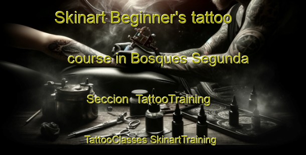 Skinart Beginner's tattoo course in Bosques Segunda Seccion | #TattooTraining #TattooClasses #SkinartTraining-Mexico