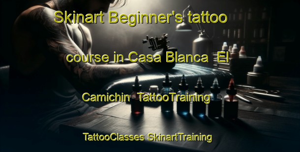 Skinart Beginner's tattoo course in Casa Blanca  El Camichin | #TattooTraining #TattooClasses #SkinartTraining-Mexico