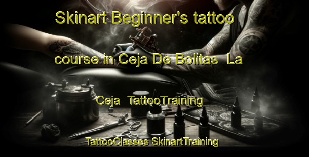 Skinart Beginner's tattoo course in Ceja De Bolitas  La Ceja | #TattooTraining #TattooClasses #SkinartTraining-Mexico