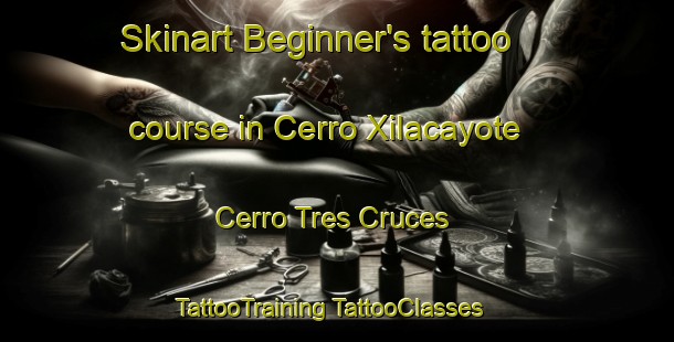 Skinart Beginner's tattoo course in Cerro Xilacayote  Cerro Tres Cruces | #TattooTraining #TattooClasses #SkinartTraining-Mexico