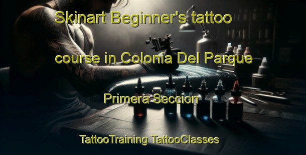 Skinart Beginner's tattoo course in Colonia Del Parque Primera Seccion | #TattooTraining #TattooClasses #SkinartTraining-Mexico