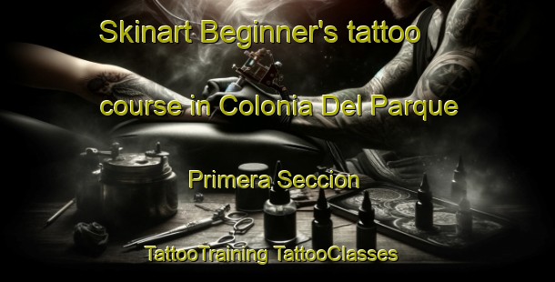 Skinart Beginner's tattoo course in Colonia Del Parque Primera Seccion | #TattooTraining #TattooClasses #SkinartTraining-Mexico