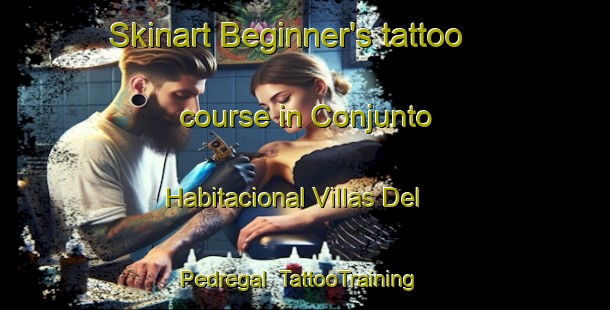 Skinart Beginner's tattoo course in Conjunto Habitacional Villas Del Pedregal | #TattooTraining #TattooClasses #SkinartTraining-Mexico