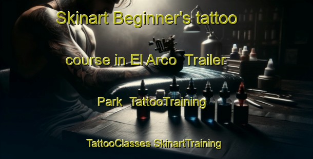 Skinart Beginner's tattoo course in El Arco  Trailer Park | #TattooTraining #TattooClasses #SkinartTraining-Mexico