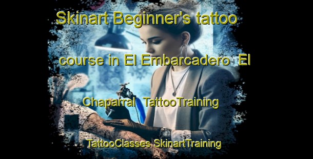 Skinart Beginner's tattoo course in El Embarcadero  El Chaparral | #TattooTraining #TattooClasses #SkinartTraining-Mexico