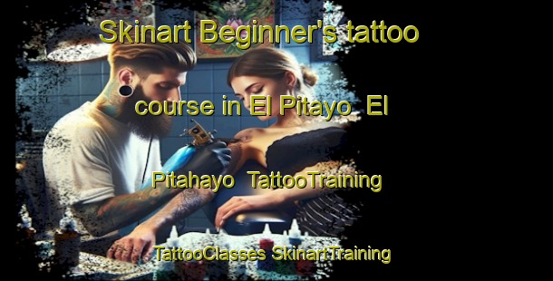 Skinart Beginner's tattoo course in El Pitayo  El Pitahayo | #TattooTraining #TattooClasses #SkinartTraining-Mexico