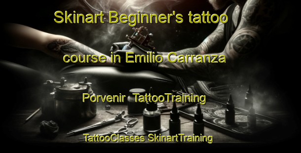 Skinart Beginner's tattoo course in Emilio Carranza  Porvenir | #TattooTraining #TattooClasses #SkinartTraining-Mexico