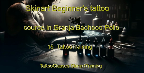 Skinart Beginner's tattoo course in Granja Bachoco Pollo 15 | #TattooTraining #TattooClasses #SkinartTraining-Mexico