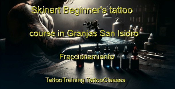 Skinart Beginner's tattoo course in Granjas San Isidro  Fraccionamiento | #TattooTraining #TattooClasses #SkinartTraining-Mexico