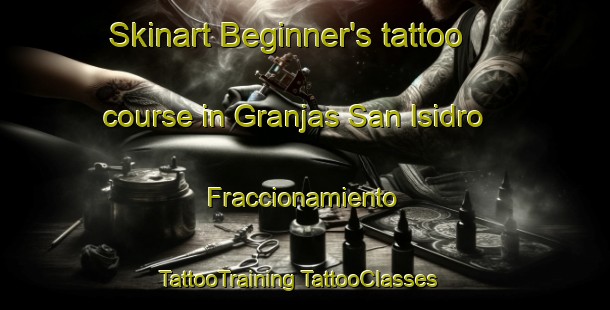 Skinart Beginner's tattoo course in Granjas San Isidro  Fraccionamiento | #TattooTraining #TattooClasses #SkinartTraining-Mexico