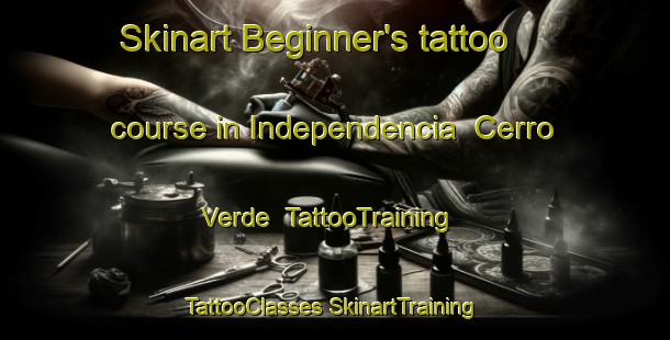 Skinart Beginner's tattoo course in Independencia  Cerro Verde | #TattooTraining #TattooClasses #SkinartTraining-Mexico