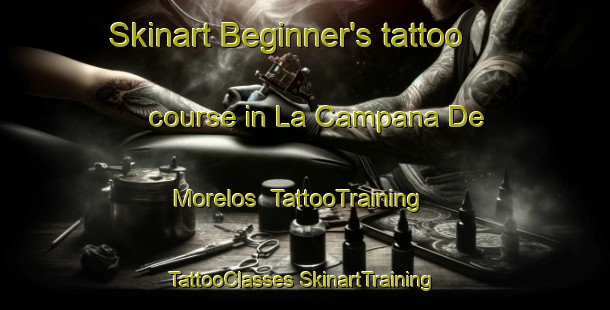 Skinart Beginner's tattoo course in La Campana De Morelos | #TattooTraining #TattooClasses #SkinartTraining-Mexico