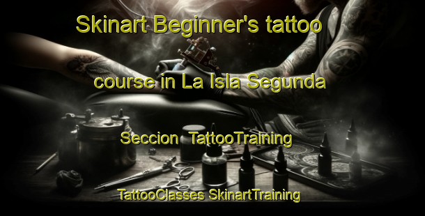 Skinart Beginner's tattoo course in La Isla Segunda Seccion | #TattooTraining #TattooClasses #SkinartTraining-Mexico