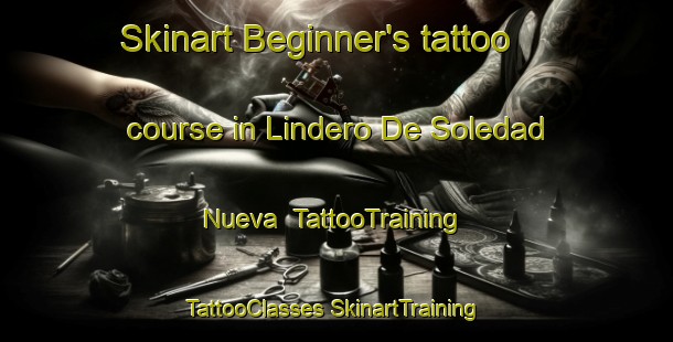 Skinart Beginner's tattoo course in Lindero De Soledad Nueva | #TattooTraining #TattooClasses #SkinartTraining-Mexico