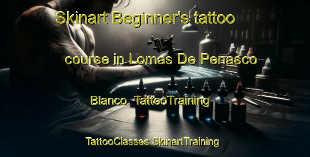 Skinart Beginner's tattoo course in Lomas De Penasco Blanco | #TattooTraining #TattooClasses #SkinartTraining-Mexico