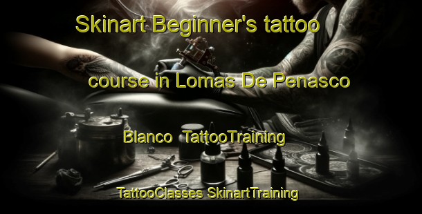 Skinart Beginner's tattoo course in Lomas De Penasco Blanco | #TattooTraining #TattooClasses #SkinartTraining-Mexico